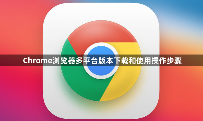 Chrome浏览器多平台版本下载和使用操作步骤1
