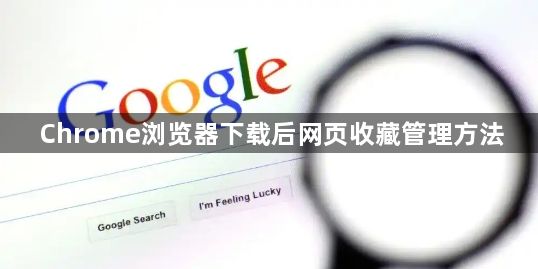 Chrome浏览器下载后网页收藏管理方法1